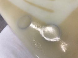 �|���G�X�e�� �f�b�L �T�C���� 13_5